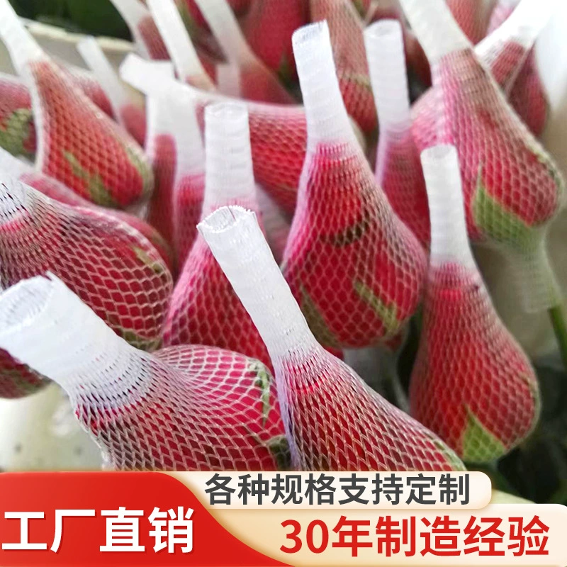 White nylon pack, protective hair mesh, wholesale