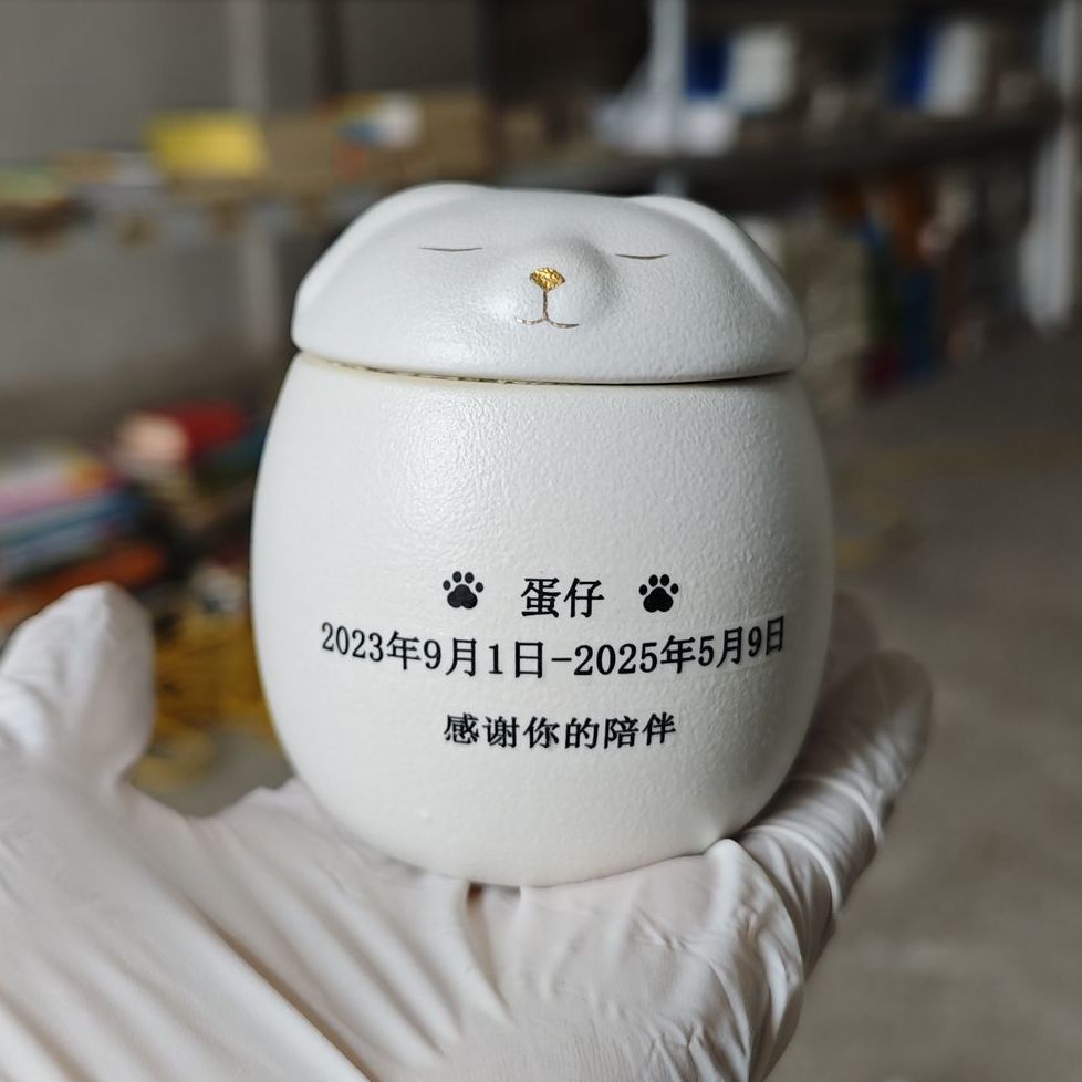 개/인쇄-소형 + 6inch 사진 무료 제공