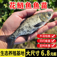 �����~����^���^�~����w��ˮ�Bֳ���I���Ĵ���~���~���w���]