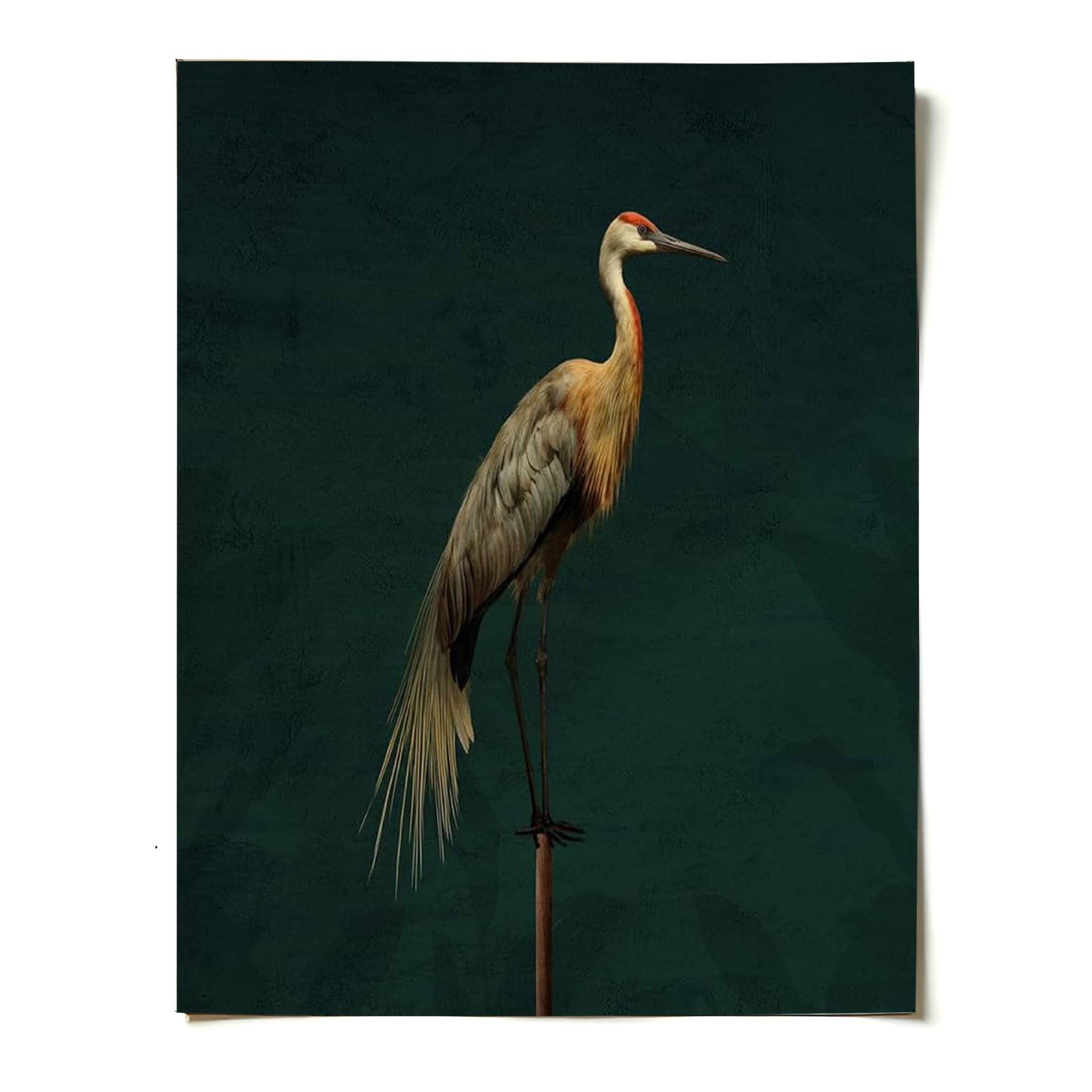 Transfronterizos clásicos enmarcados pinturas colgadas pinturas decorativas de pared de oficinas de alojamiento residencial pinturas de borde dorado estilo retro europeo image 18