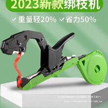 �¿����ѽ�֦�����t���������S�������C�r��ȫ�Ԅӽ�֦��֦�C