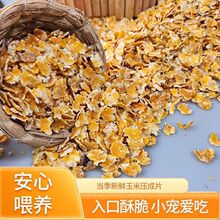 ������������������Ƭ�����������ӂ}���R���¹ͨ����ϼ���