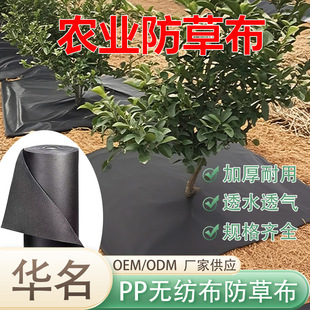 �S�ҹ��� �r�ú�ɫ���ݲ� �����Ƭ͸��͸ˮ�o�������@�ڲݵز�