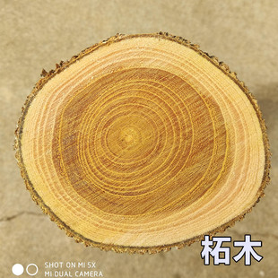 野生柘木原木料北方柘木穿破石DIY手工硬木雕刻实木料柘木棍弓料-阿里巴巴