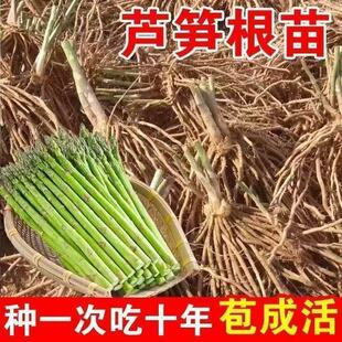 �J�S���硾�ʝɡ��F�ڸ���N���ļ��Nֲ�ˈ@���@����̨���ԾGɫ