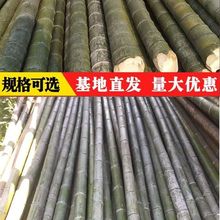 ��U��������������֧�ܴ����֧�ܗU��ë������������ӑ���