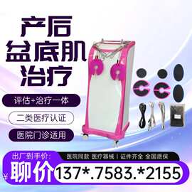 2026厂家直供 盆底肌磁刺激治疗训练仪生产厂家-产后康复仪