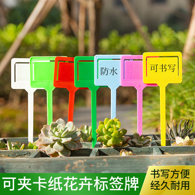 多肉插牌 园艺标签插牌 插卡式园艺指示牌  植物标签/插签 c-004