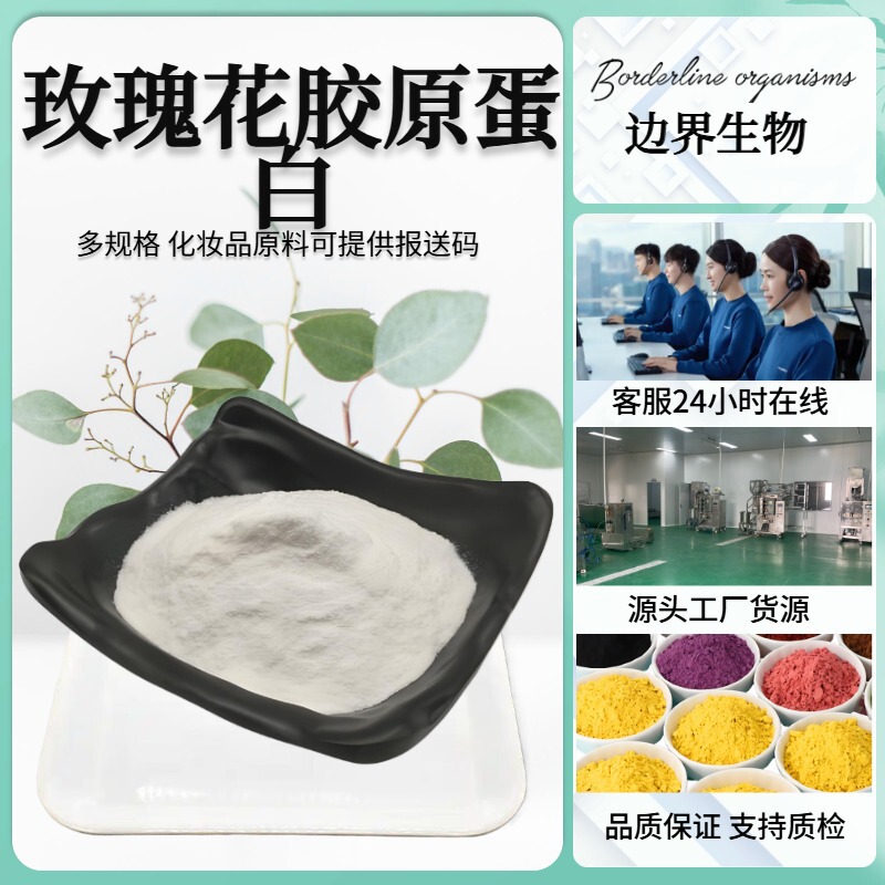 Rose Collagen Peptide Multi-Specification Rose Collagen Food Grade Plant Collagen