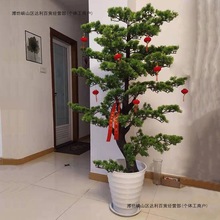 ����ӭ�����辰�[���٘��_�h�ɘ����ϻ�����ֲ���҃��b�ˇ�[��