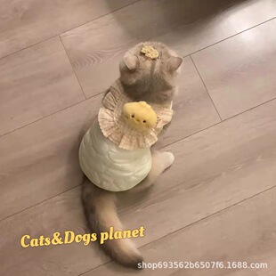 Soft cute duckling pet clothes dog autumn and winter new teddy bear cotton warm cat vest vest