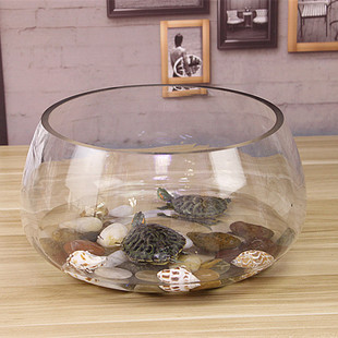 Fish Tank Glass Round Desk Pothos Hydroponic Household Small Fish Creative Transparent Small Mini Desktop Turtle Tank