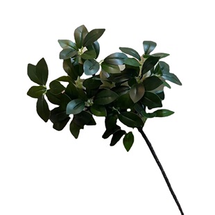 �����ɘ�֦���X�ż�����֦�ɘ��~��Сˮ�Ř�֦ӭ�����辰�쾰�b�