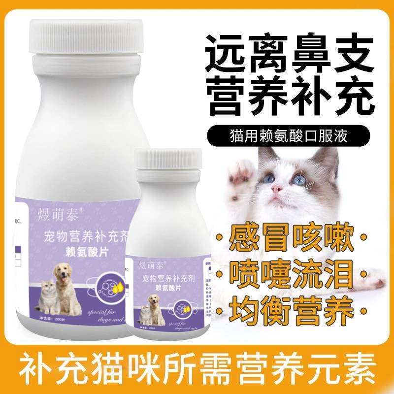 Пищевые добавки для домашних животных, жевательные таблетки с лизином для кошек, поддержка носа, питание от простуды и чихания, оптовая доставка