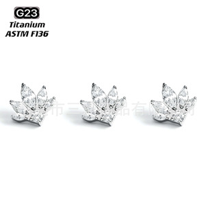 F136�M����R�ۈA��ʯ��ᔶ����G23⁺Ͻ����w�����Ʒ��΁�