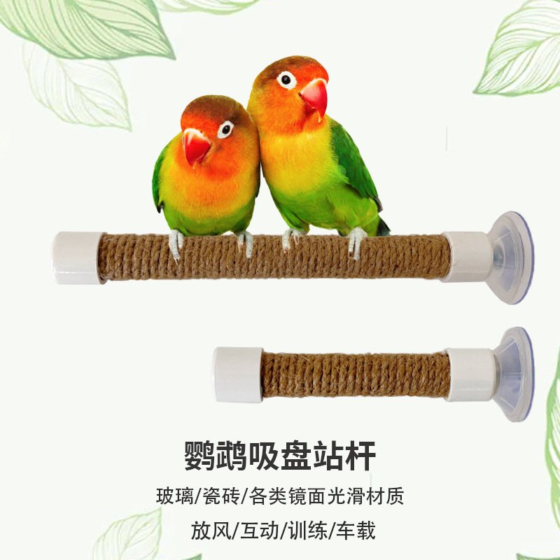 便携小吸盘麻绳鹦鹉站杆车载互动训练架玄凤虎皮玻璃瓷砖鸟用站杠