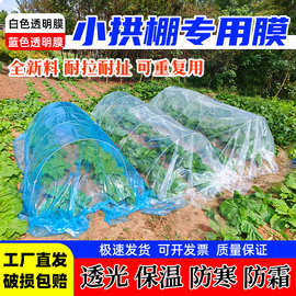 种菜小拱棚专用膜育苗薄膜果树四丝春季大棚塑料膜蔬菜种植无滴膜