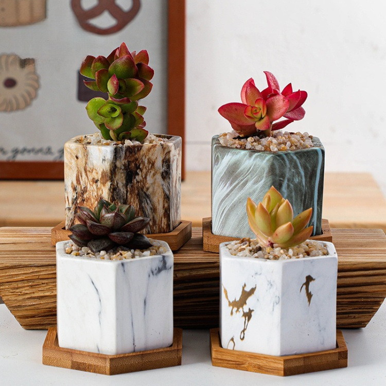 New Ceramic Succulent Flower Pots with Water Transfer Printing, Marble Pattern Home Ceramic Flower Pots, Green Plant Gardening Flower Pots
