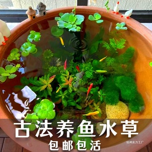 �ŷ��B�~���σ���ˮ�|�o��ˮ���쾰�ײ;G�ŹھG������ܽ�ظ�Ƽ