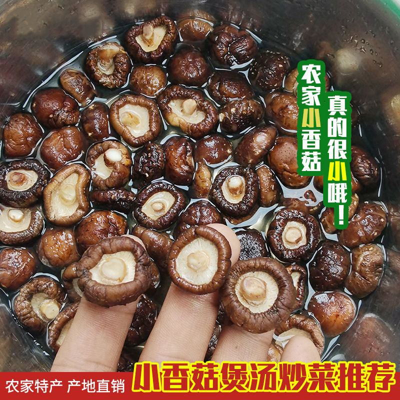 西峡特小干香菇干货农家自种金钱菇黄焖鸡商用珍珠冬菇蘑菇