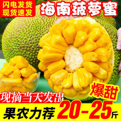 jackfruit Hainan Sanya Entire fresh fruit Season The Baltic wholesale Full container Manufactor wholesale