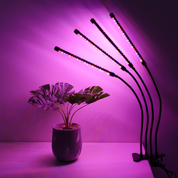 plant lamp solar-powered