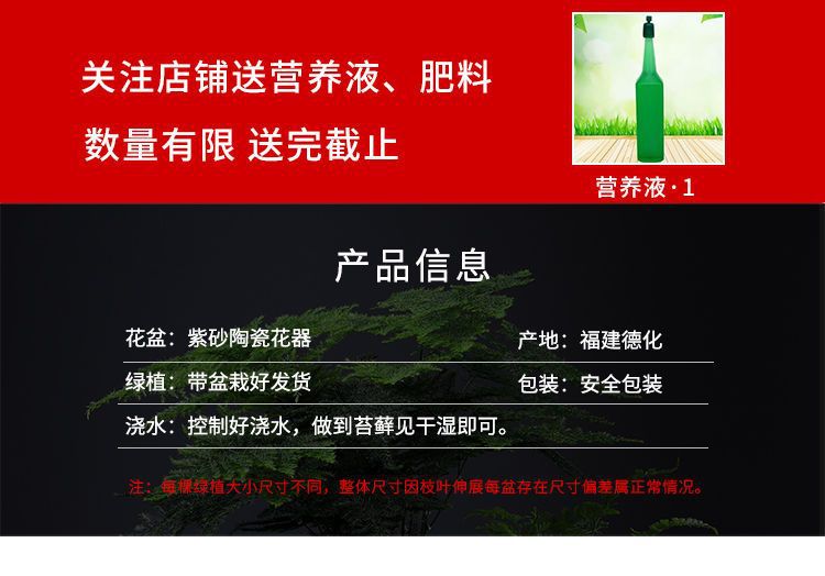 详情图