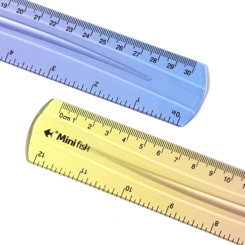[Exclusivo transfronterizo] Papelería de color creativo de 30cm regla recta impresa bilateral pulgadas cm regla transparente de plástico