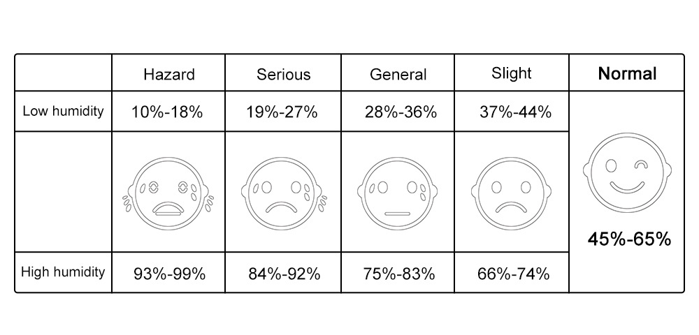 详情-表情说明英文
