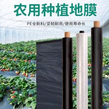 白地膜农用白膜保温保湿蔬菜大棚果园种植防草地布膜工程塑料薄膜