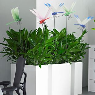 �羳Fake Dragonfly Clip3D�����bA��pvc�OӋ�Ҿ�ͥԺ�����b�