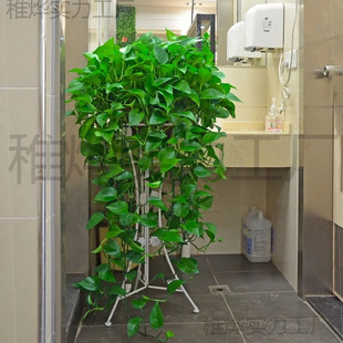 G}LّҒGֲk҃ȴ~Gjˮ໨ܺBLlֲ