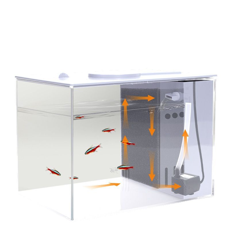 Acuario Ecológico de Escritorio con Filtro Externo e Iluminación para Sala de Estar image 5
