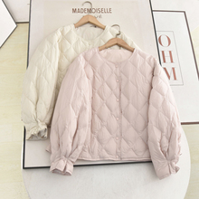 ���Ȇ�2025���¿��p����p�gС���������q�����|������Ů