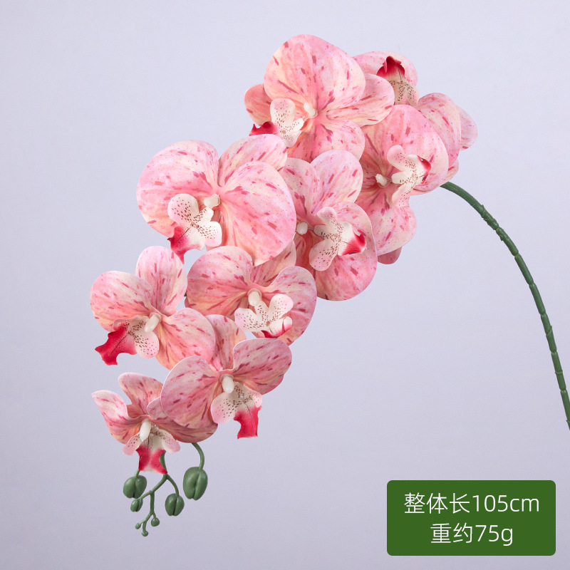 9 orquídeas de mariposa (manchas de flores) una sola rama