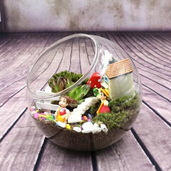 透明円形斜口ガラス花瓶微景観生態瓶多肉花瓶水培花瓶家庭工芸