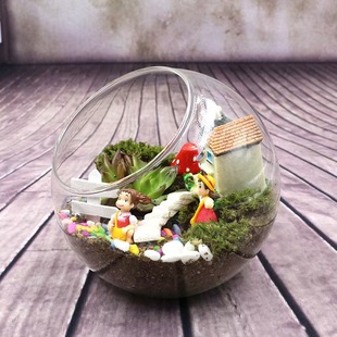 Transparent Round Inclined Glass Vase Micro Landscape Ecological Vase Fleshy Vase Hydroponic Vase Home Furnishing Craft