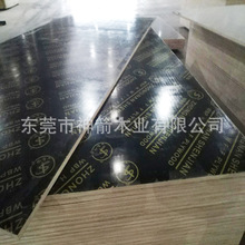 �V����Ĥ����ˮģ�彨�Bľ�����̹�����ľ��Ĥ��Ƿ�����ģ��