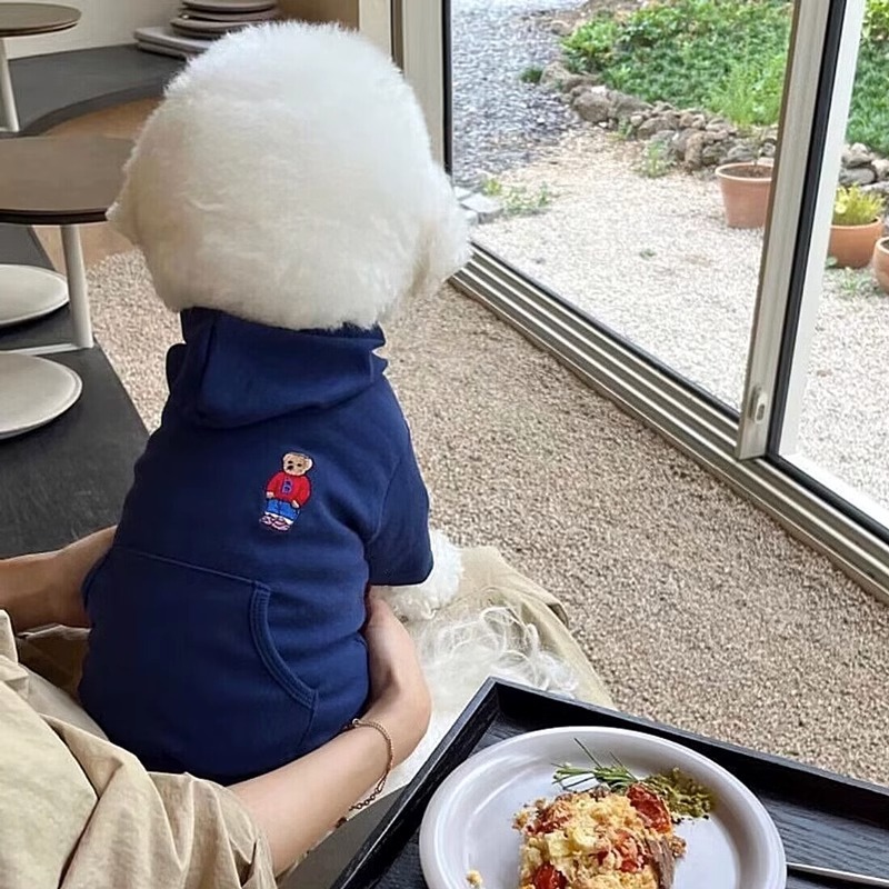 Otoño e Invierno japonés y coreano lindo oso casual perro con capucha suéter gato dos pies caliente mascota ropa de peluche