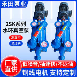 2SK系列水环式真空泵双级负压真空泵设备卧式不锈钢真空抽气泵
