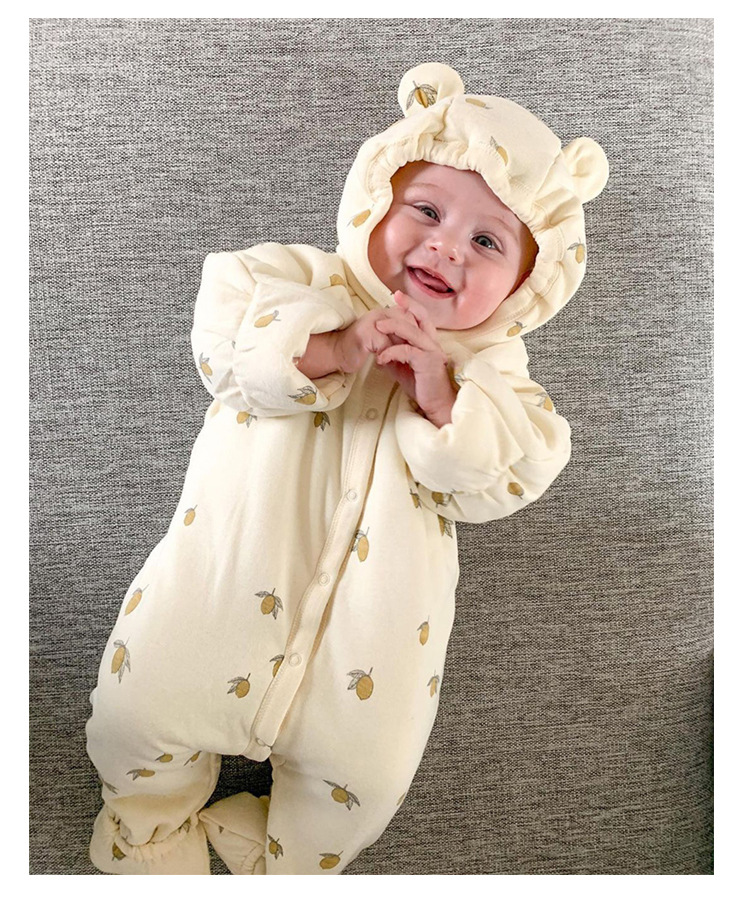 Simple Style Fruit Cotton Baby Rompers display picture 1