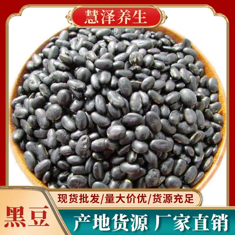Плоские черные бобы Аутентичные свежие маленькие черные бобы оптом почечный тип черных бобов