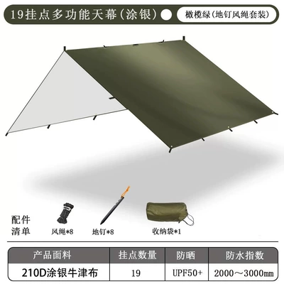 Avtomobil yan çətirləri, 19-Point Canopy with Black - olive-green-ground-nails-wind-rope-3x3