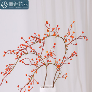 �lؔ�t���S�{��֦��ĭ���������ʽ��֦�����b��ā����L