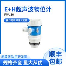 FMU30-AAHEAARGFE+HͳλӋ