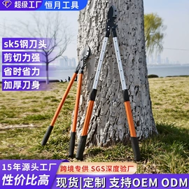 手锯、木工锯;修枝剪;耙子