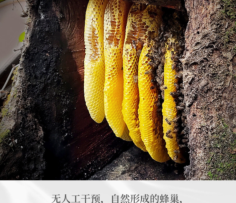 O1CN01mYDNdg1PSJ9U9PqPO_!!2213433371839-0-cib.jpg?__r__=1665814182473