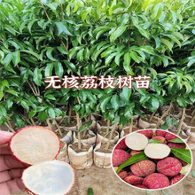 ��֦���m�o�˹�ζ������������Ц�޽�ˮ������Ŵ���ٹ��箔��Y��