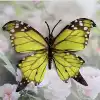 Silk 11CM butterfly-color large size 30