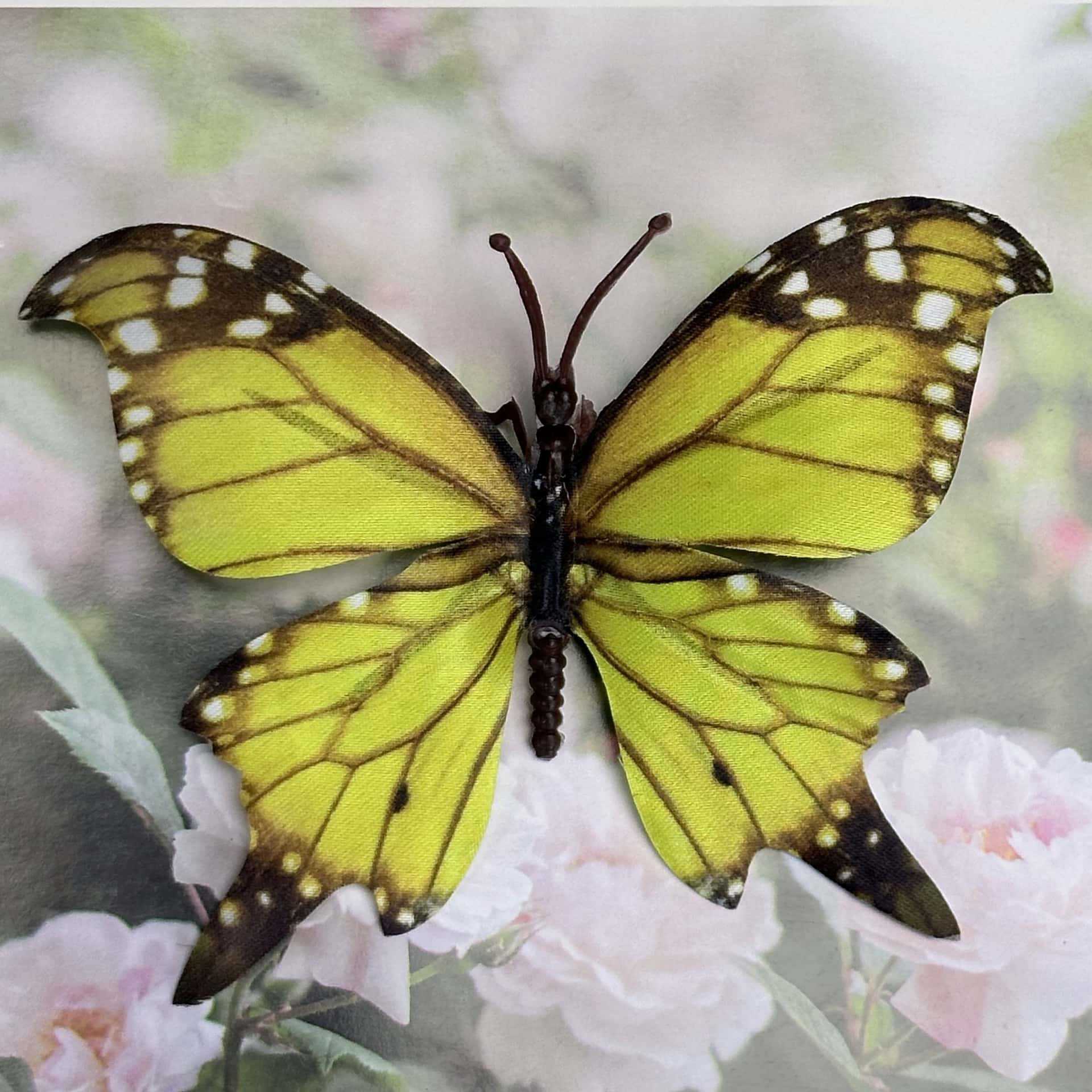 Seda 11CM color mariposa talla grande 30